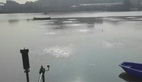 糖心VLOG视频网站沉水糖心LOGO入口观看助力杭州萧山区某河道生态治理